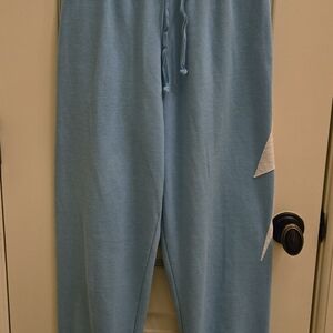 Aviator Nation Light Blue Joggers